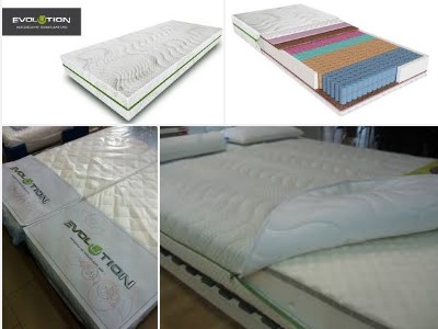 ������� Evolution