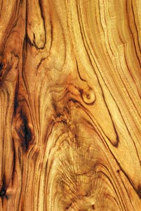Текстура древесины